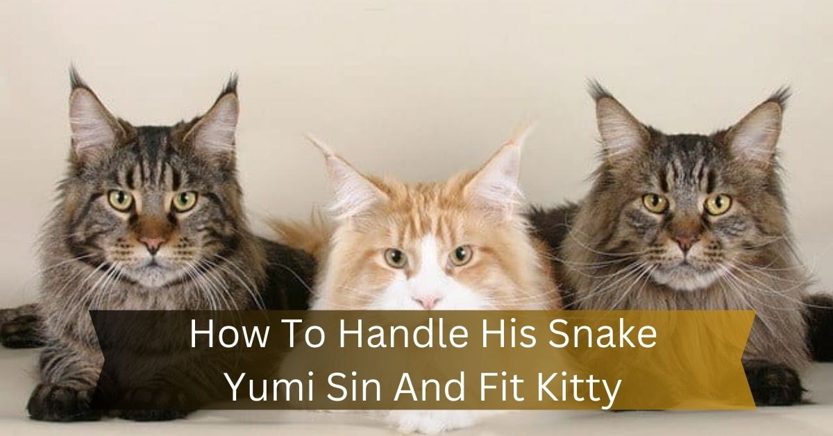How To Handle His Snake Yumi Sin And Fit Kitty