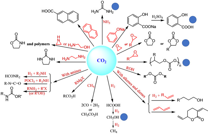 Carbon in the Context of Organic Synthesis and Drug Development